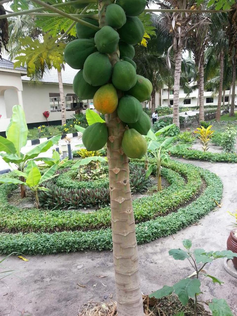 Oceanic Bay Hotel & Resort Bagamoyo Exterior foto